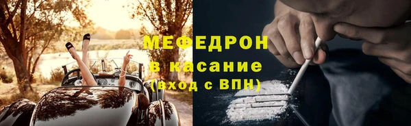 МДПВ Бородино