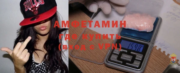 МДПВ Бородино