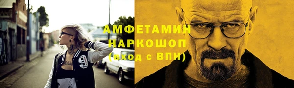 МДПВ Бородино