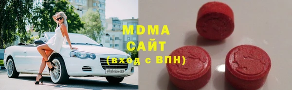 МДПВ Бородино