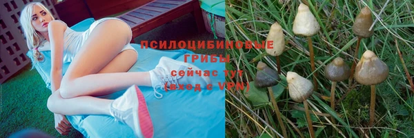 соль курить ск Бронницы