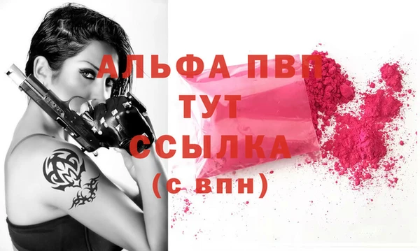 МДПВ Бородино