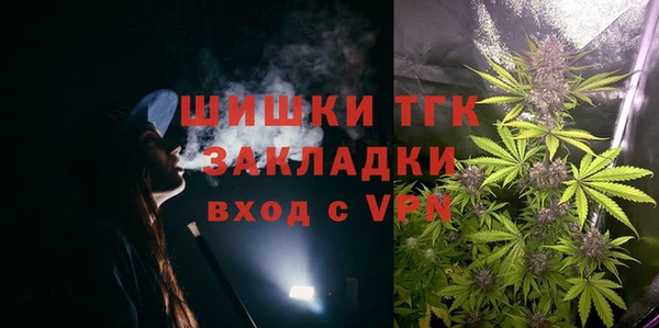 МДПВ Бородино