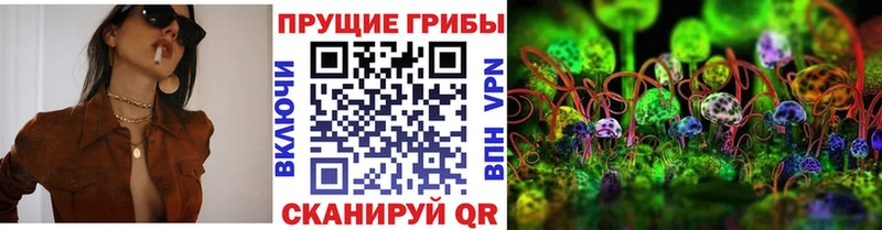 shop какой сайт  Кущёвская  ОМГ ОМГ вход  Псилоцибиновые грибы Magic Shrooms  что такое наркотик 