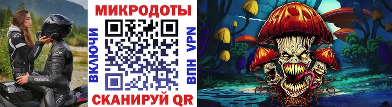 Галлюциногенные грибы Cubensis Кущёвская